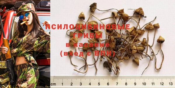 твердый Вяземский
