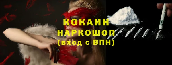 твердый Вяземский