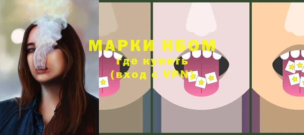 твердый Вяземский
