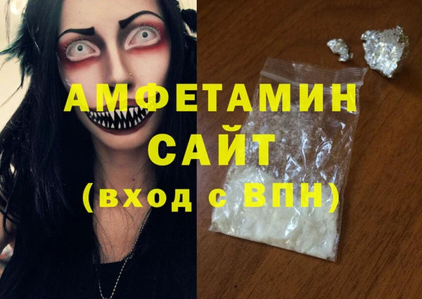 твердый Вяземский