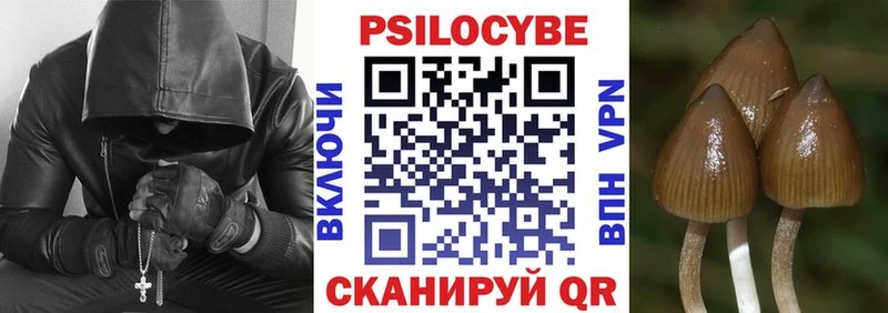 Псилоцибиновые грибы GOLDEN TEACHER  наркошоп  Лодейное Поле 